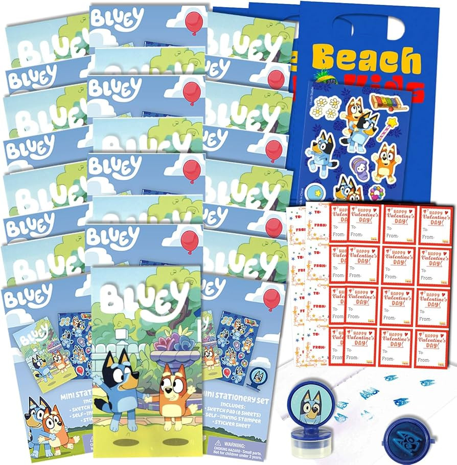 Bluey and Bingo Valentine's Day Classroom Gift Exchange Bundle - 24 Mini Coloring Activity Books ... | Amazon (US)