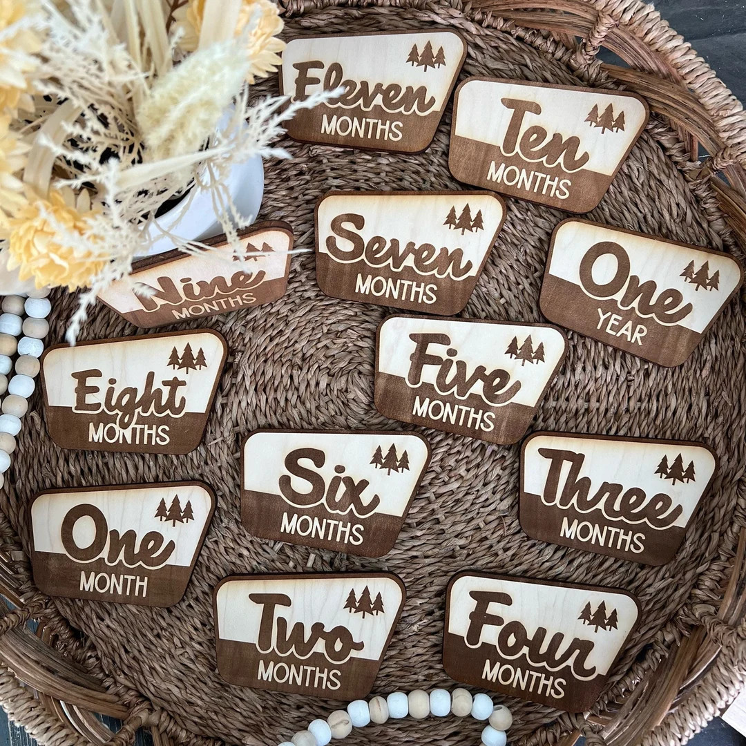 National Parks Milestone Baby Milestone Marker Wood National Park Baby Shower National Park Signs... | Etsy (US)