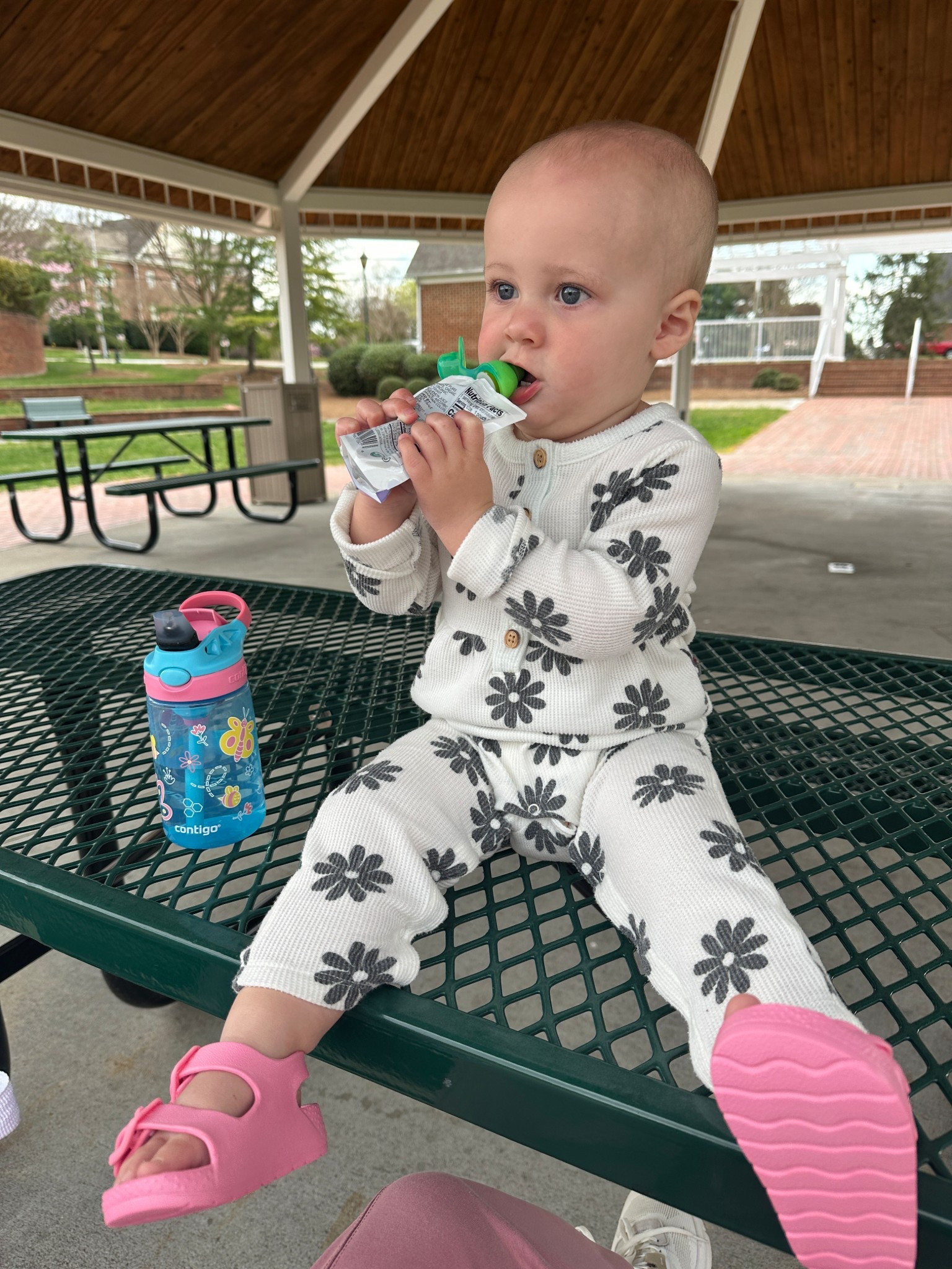 Afternoon snack at the park! Parker is in her true to size 18 months 

#LTKSeasonal #LTKKids #LTKBaby