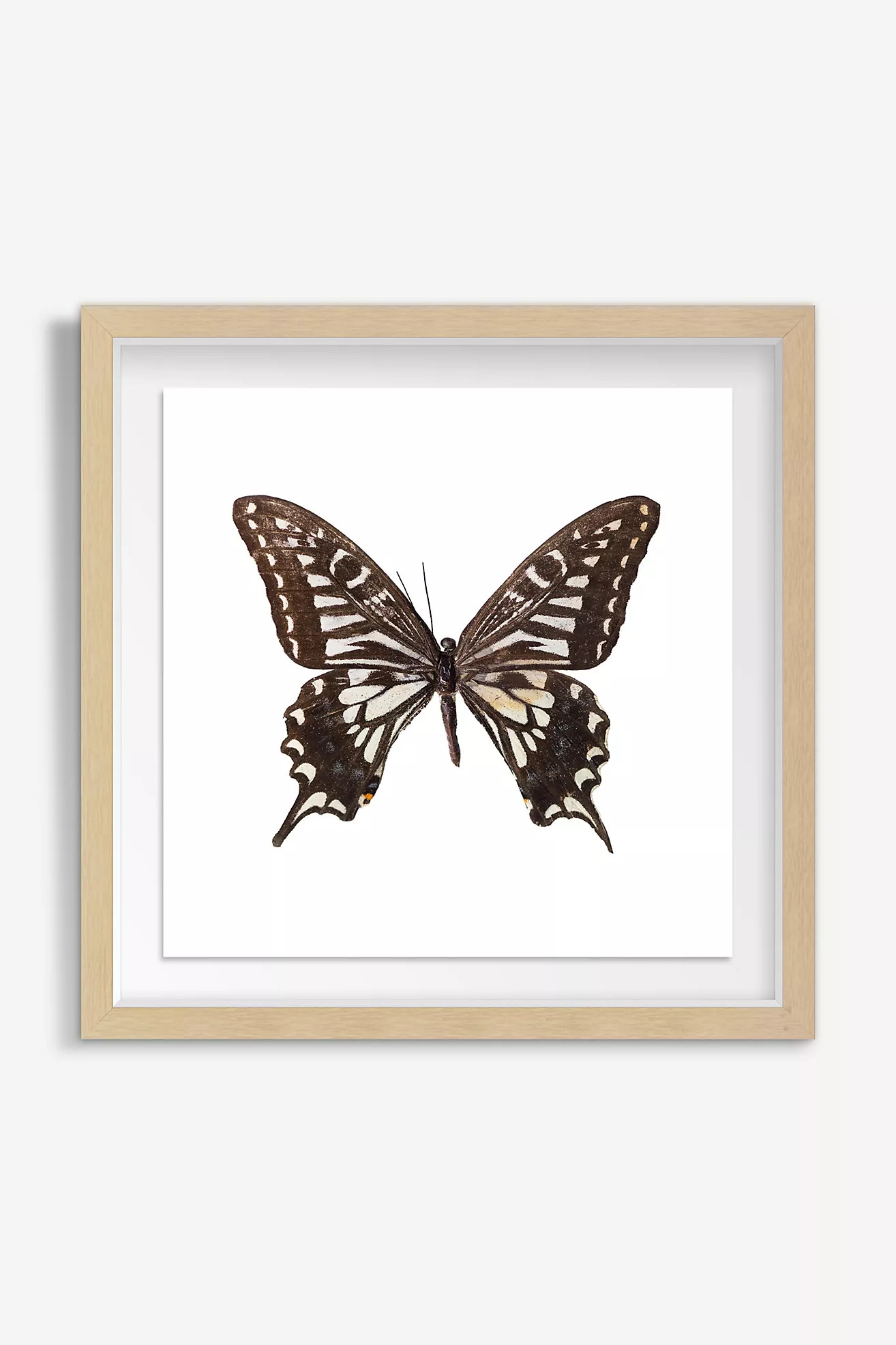 Gossamer Grace Wall Art | Anthropologie (US)