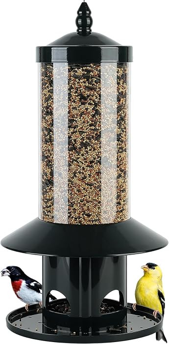 Squirrel-Proof Bird Feeder for Outdoor Wild Bird | Amazon (US)