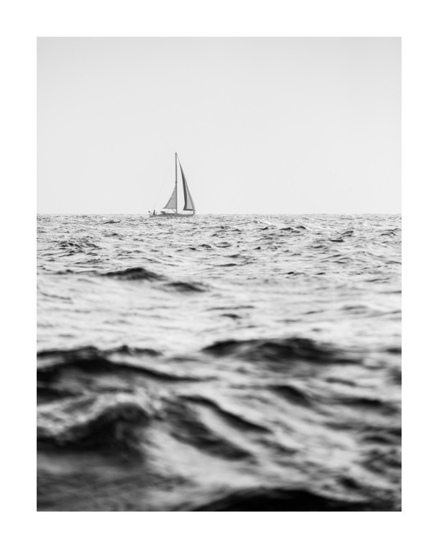 "Diverge" - Photography Limited Edition Art Print by Jessica C. Nugent. | Minted