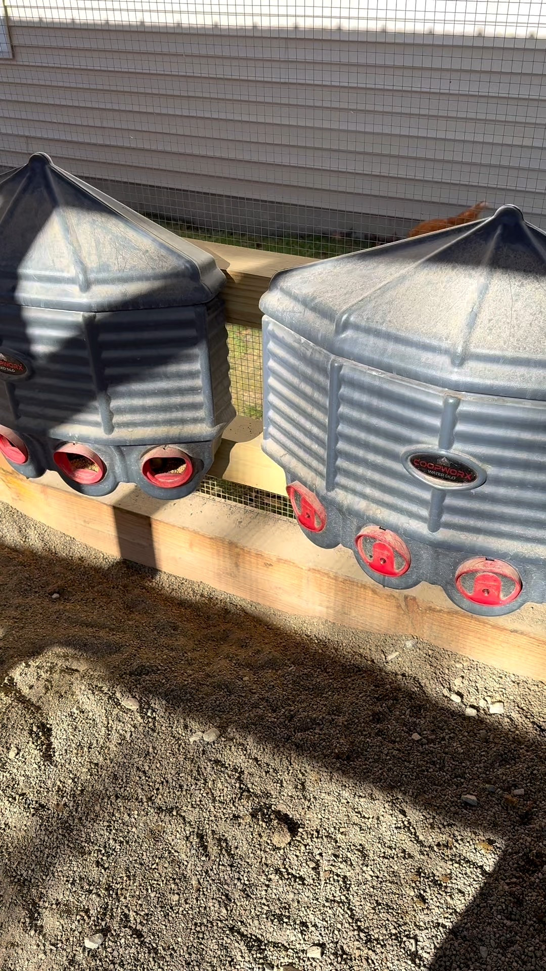 Gotta keep the girls happy! 🐓💕

Use the link to save at checkout! Or CLUCKINGHAM15 at checkout!

https://hengear.myshopify.com/discount/CLUCKINGHAM15?rfsn=8696198.ef0fa6

#backyardchickens #hengear #nestingbox