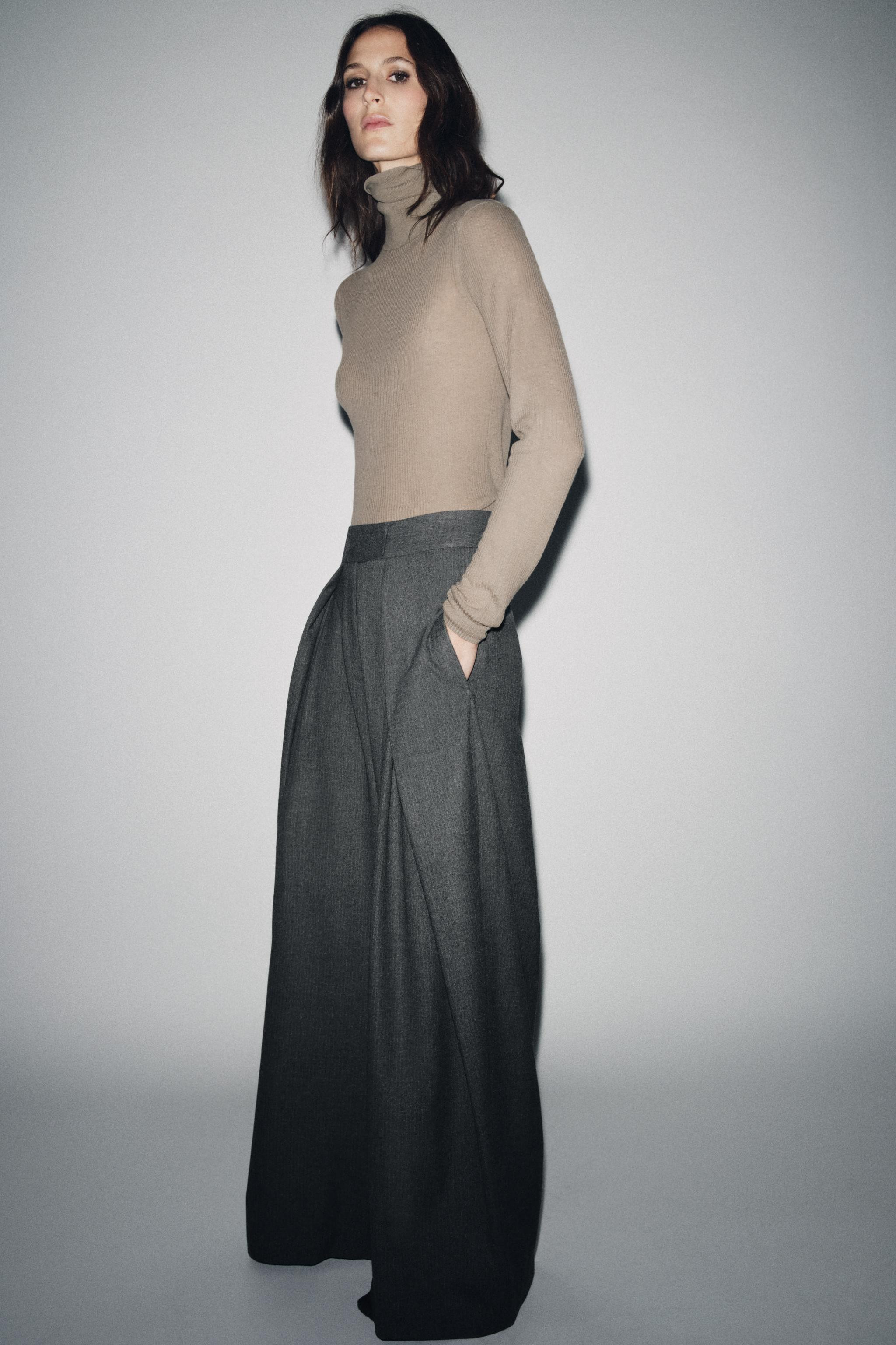 ZW COLLECTION PINSTRIPE WIDE LEG PLEATED PANTS | Zara US