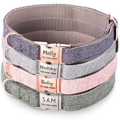 Name Plate Dog Collar for Small Dogs Personalized Holiday Best Gifts for Dog Mom Custom Pet Name ... | Amazon (US)