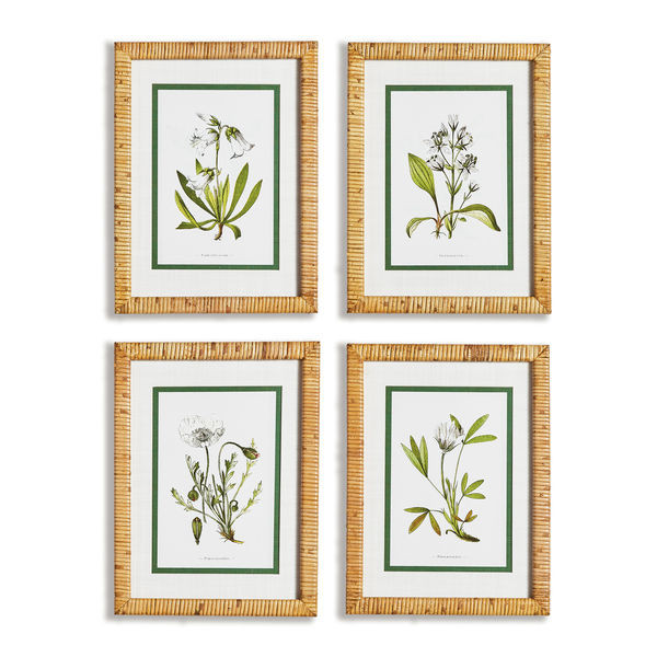 White Floral Study, Set Of 4
     
  10% OFF | Scout & Nimble
