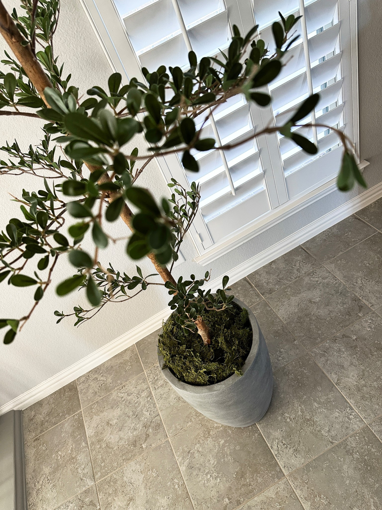 my NEW tree

#LTKSeasonal #LTKSaleAlert #LTKHome