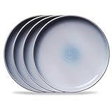 Corelle Stoneware 4-Pc Dinner Plate Set, Handcrafted Artisanal Double Bead Plates, Reactive Glaze St | Amazon (US)