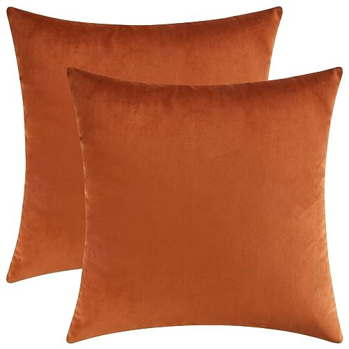 Mixhug Set of 2 Cozy Velvet Square Decorative Throw Pillow Covers for Couch and Bed, Burnt Orange, 18 x 18 Inches | Amazon (US)