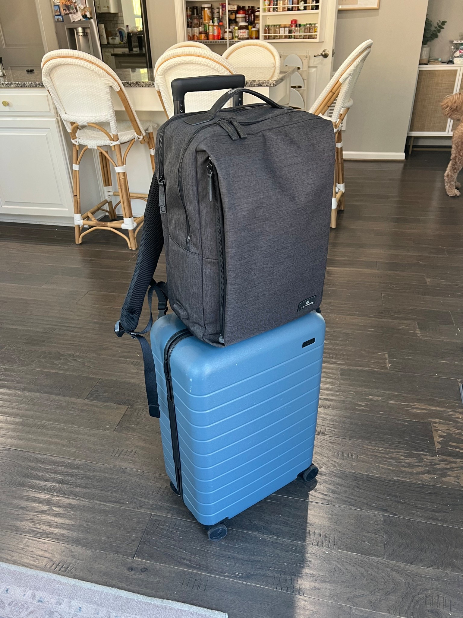 My favorite Away Carry On suitcase! Perfect for quick trips! And love this Nordace backpack, too 😄

#LTKTravel