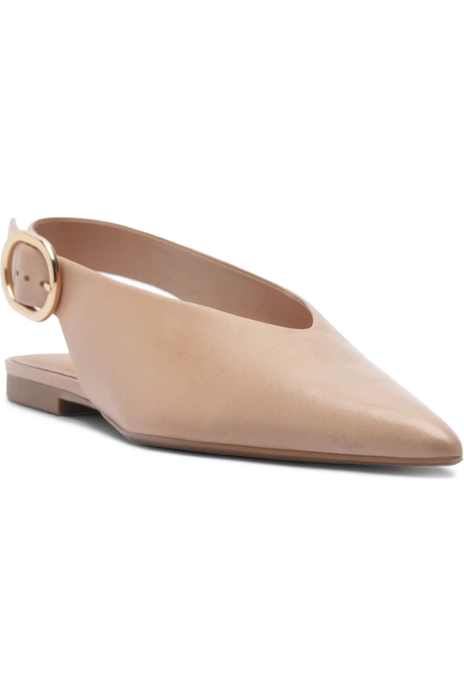 Arezzo Atlas Pointed Toe Slingback Flat (Women) | Nordstrom | Nordstrom