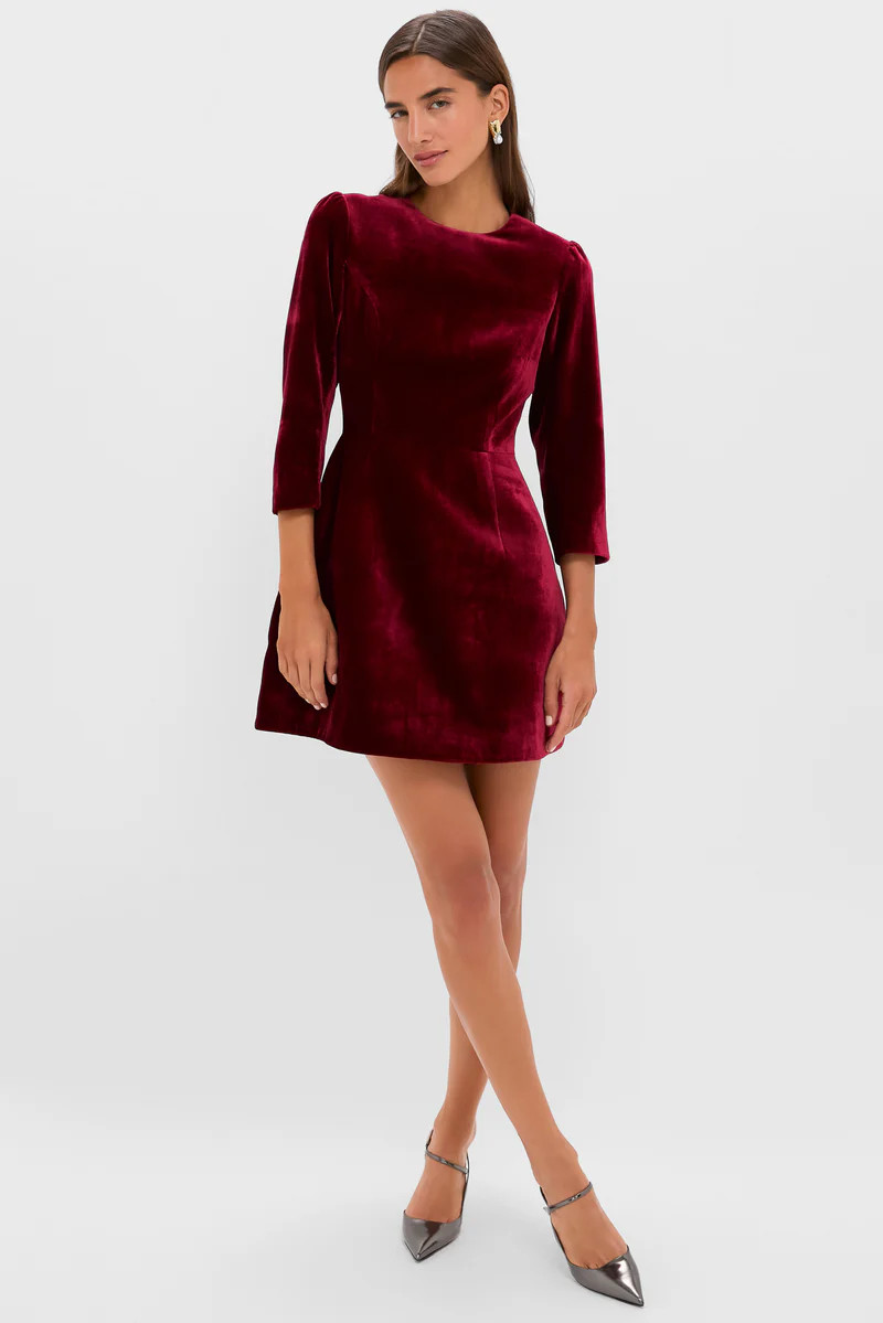 Red Velvet Silk Haley Dress | Tuckernuck (US)