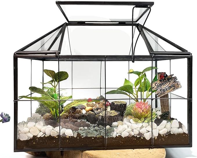 Ferrisland Glass Terrarium Greenhouse House Shape Display Box Planter for Succulents Plant Terrar... | Amazon (US)