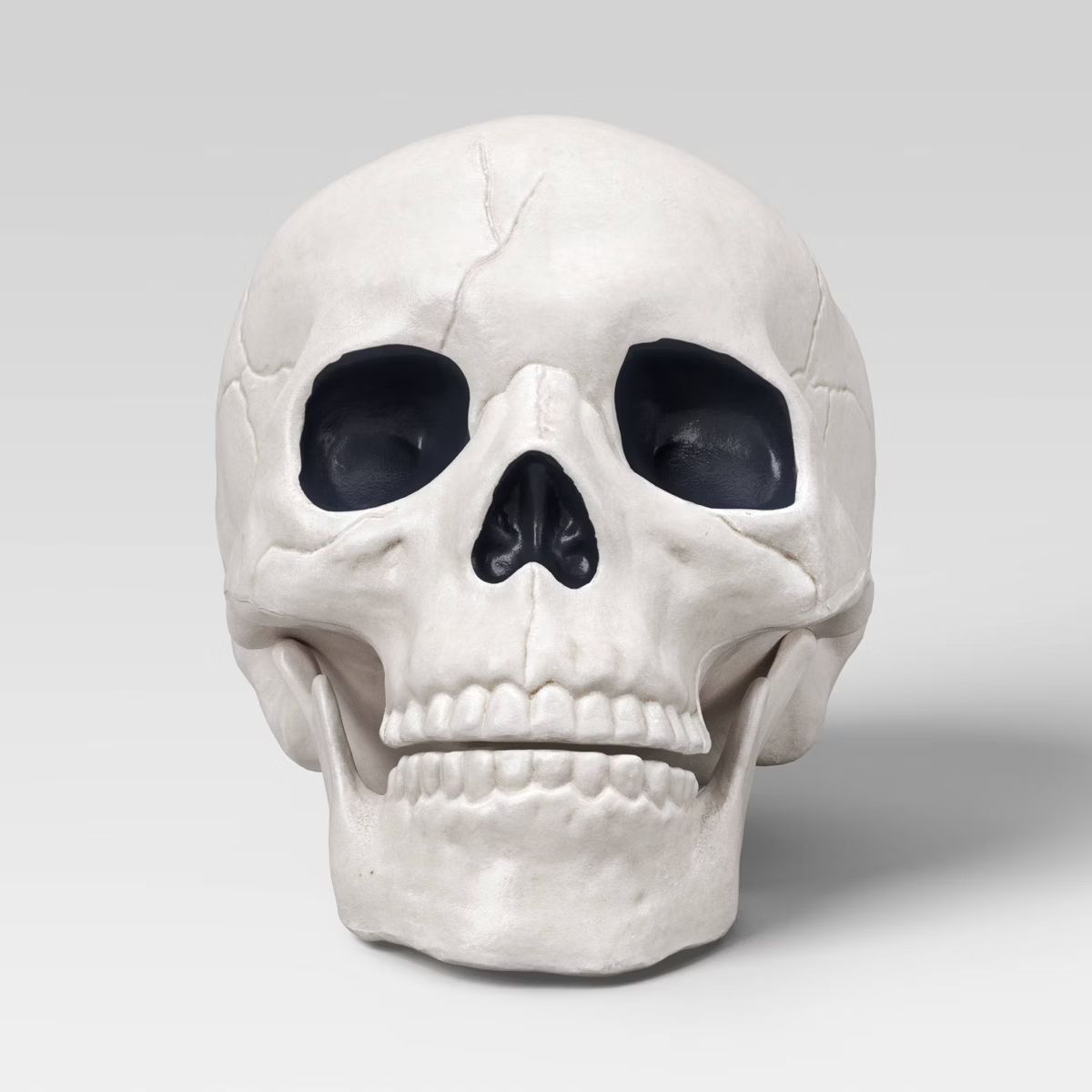 Skull Halloween Decorative Prop - Hyde & EEK! Boutique™ | Target