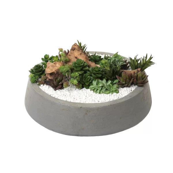 Concrete Pot Planter | Wayfair Professional