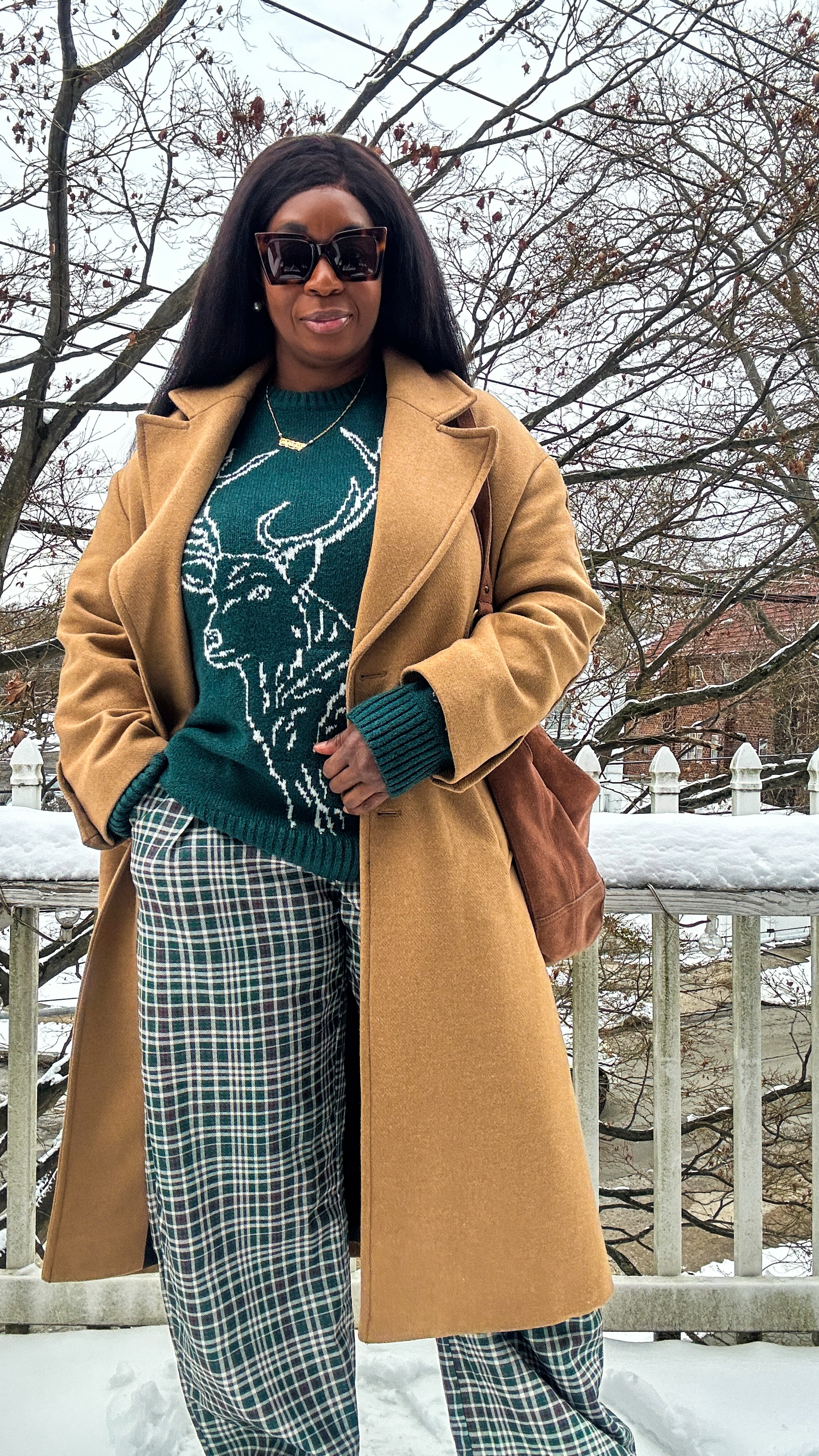 Winter OOTD:
Coat is Zara
Sweater is Large
Pants are Large
Shoes are an 8


#LTKStyleTip #LTKMidsize #LTKSeasonal