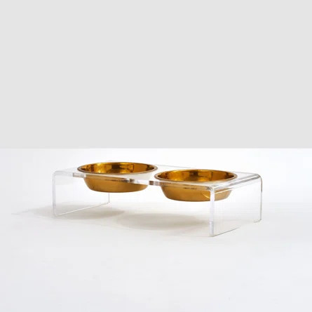 Gold Bowl Clear Elevated Feeder | AllModern | Wayfair North America