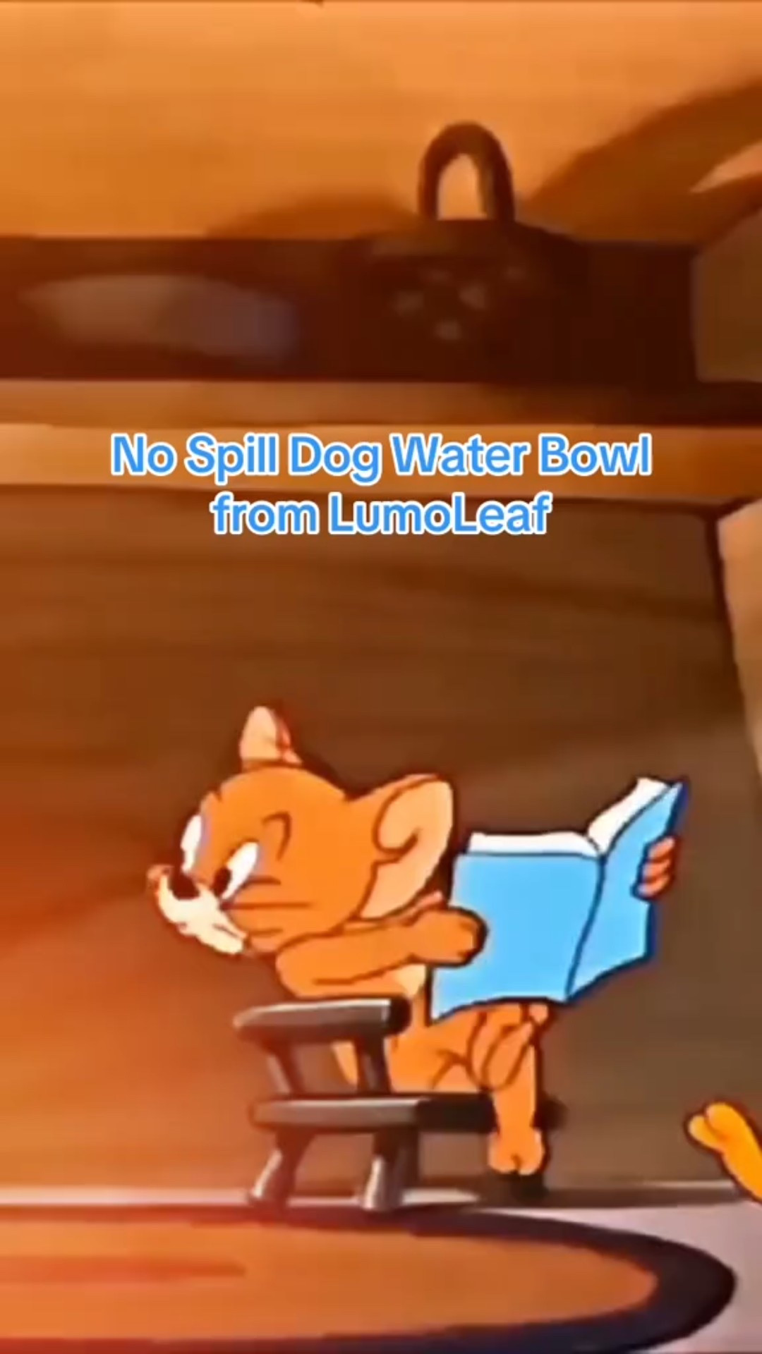 This is LumoLeaf’s latest upgrade to its best-selling No Spill Dog Water Bowl. With a seamless one-piece floating disk, a transparent 2L bowl body, and full dishwasher-safe construction, this new version makes cleanup easier, keeps water fresher, and lets owners check water levels at a glance. Ideal for medium to large dogs at home or on the go. 

#LTKFindsUnder50 #LTKPets #LTKActive
