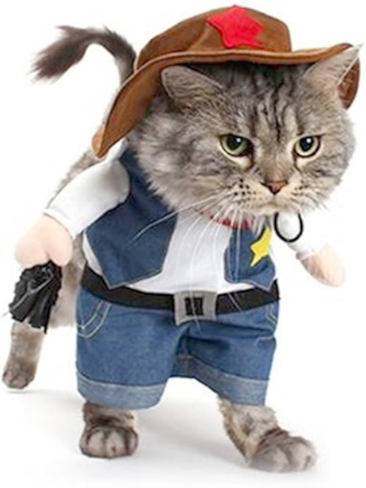 WORDERFUL Cowboy Dog Costume with Hat Dog Clothes Suit Halloween Costumes for Cat and Puppy (S) | Amazon (US)