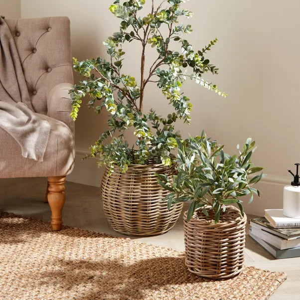 Churchgate Set of 2 Rattan Planters | Dunelm (migrated)