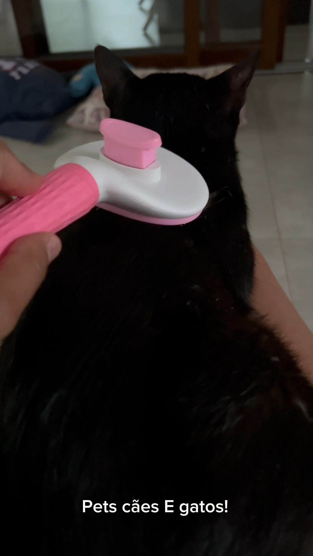 Escova removedora de pelos, cães e gatos!🐈🐶
#pet #dog #caes 

#LTKpets #LTKbrasil