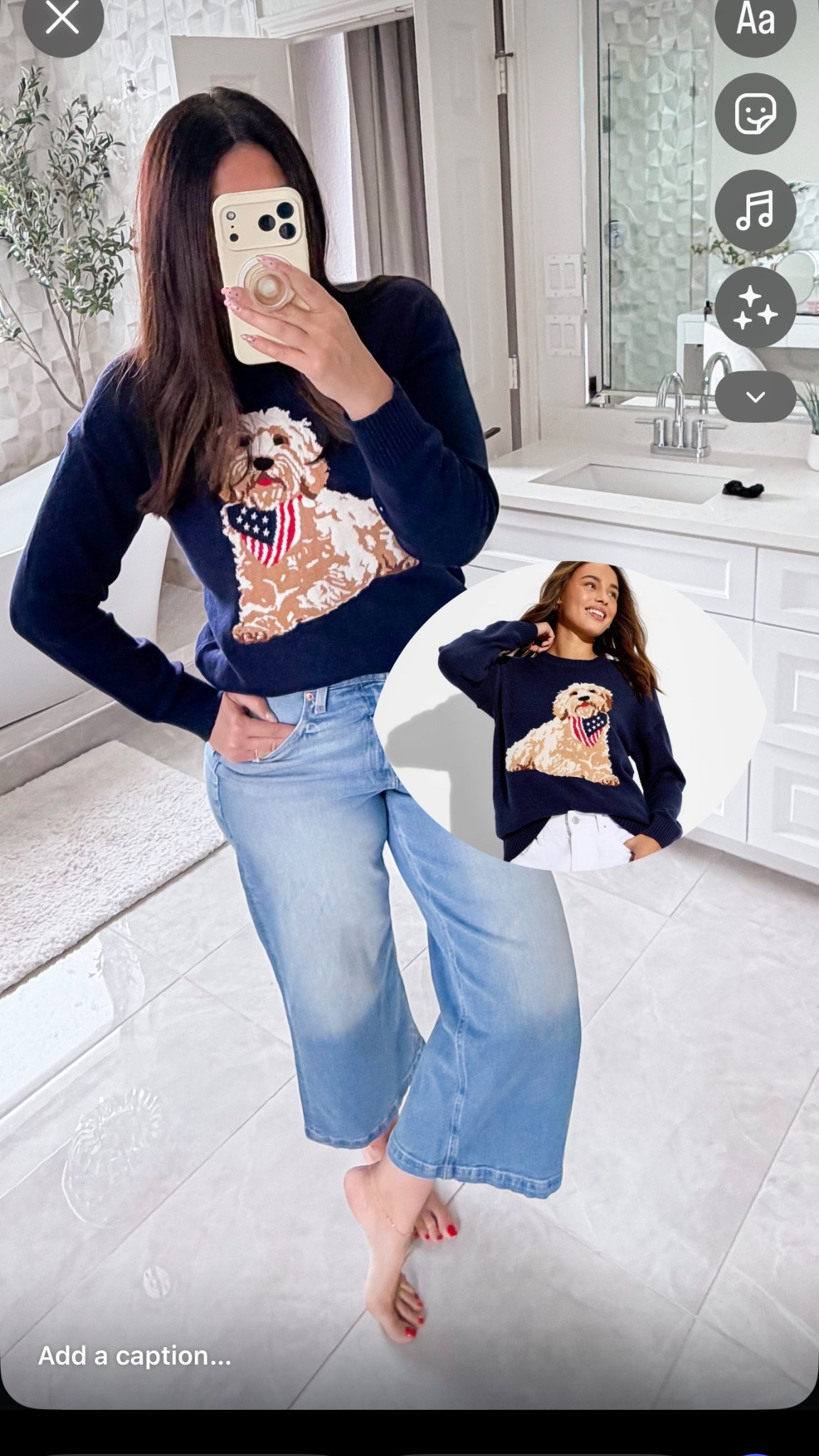 y’all I just rechecked…
the dog sweater is back but ONLY in a LARGE 🐶🇺🇸

everything else is sold out again 😭


#LTKgrwm #LTKSeasonal #LTKOver40