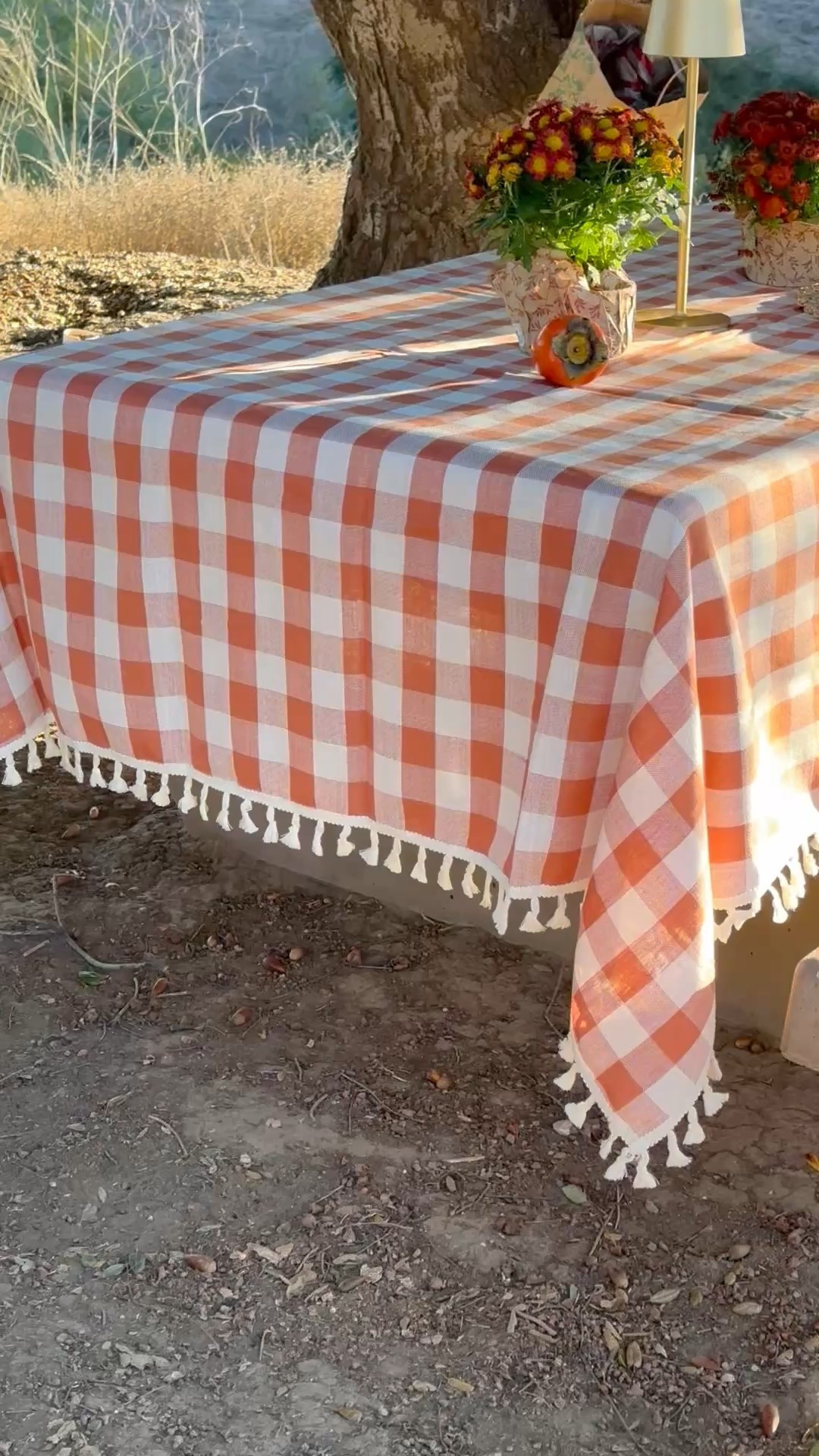 Plan our camping next weekend for the wood flower season. Hope it is not too windy. Here is our setup for the Thanksgiving. The good table linens will always elevate the mood.  

#LTKSeasonal #LTKTravel
