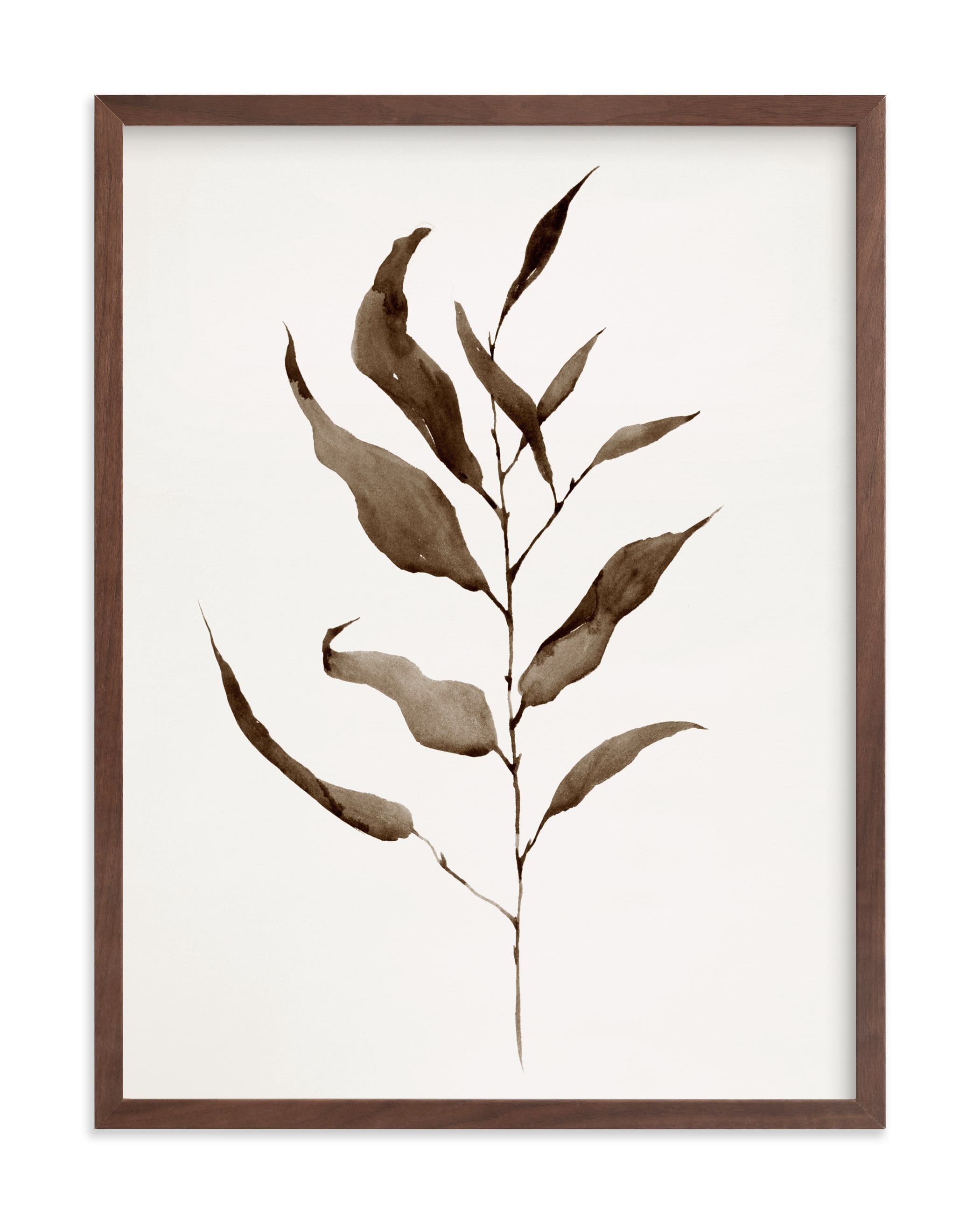 "Eucalyptus Foliage" - Painting Limited Edition Art Print by jinseikou. | Minted