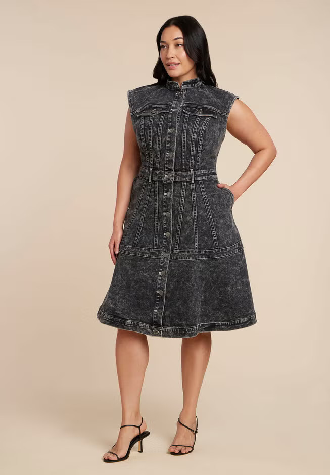 Fit And Flare Denim Dress | Eloquii