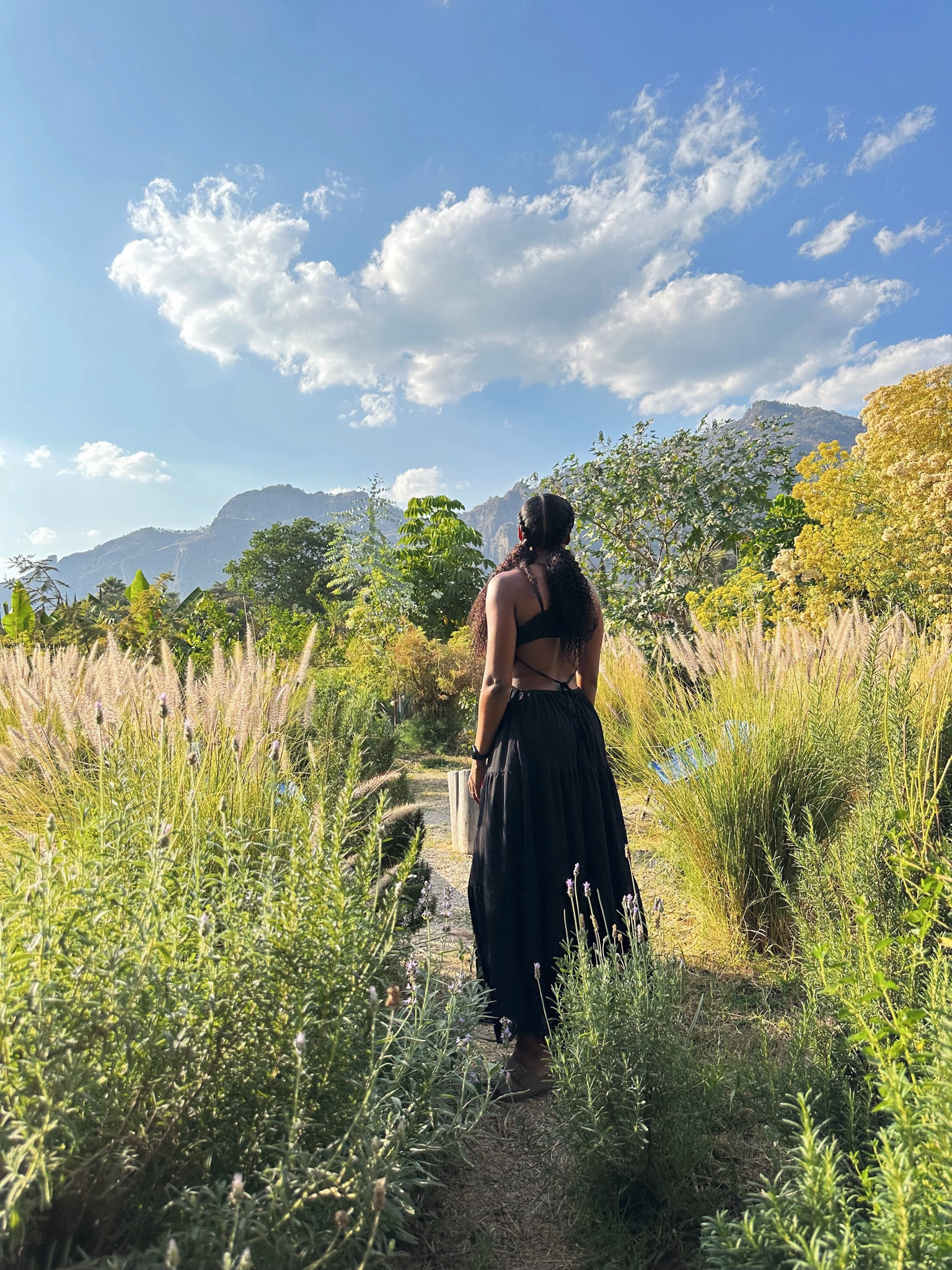 Obsessed with this dress for travel and spring time! 

#LTKtravel #LTKSeasonal #LTKfindsunder50