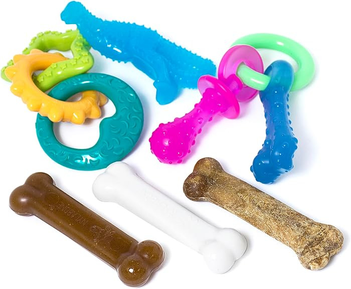 Nylabone Puppy Chew Toy & Treat Bundle, Small, 6 Count     5 puppy toys & 1 natural treat, chicke... | Amazon (US)