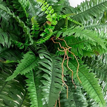 Nearly Natural 40IN Artificial Boston Fern Large Hanging Plant, Set of 2 Artificial Ferns that Lo... | Amazon (US)
