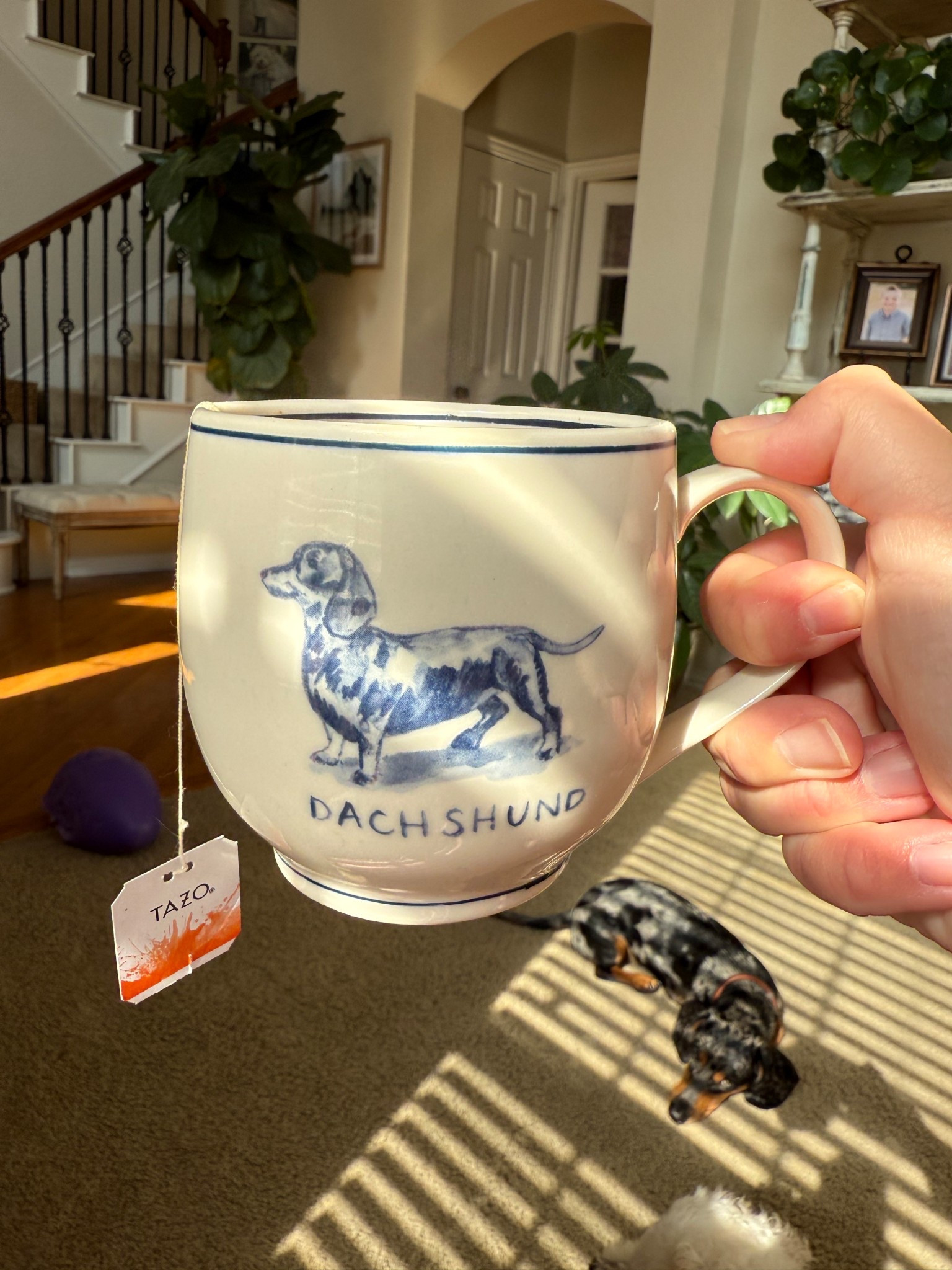 The best puppy mugs! 