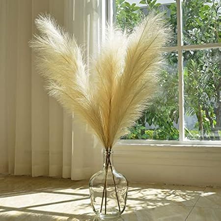 Meadowlux Tall Dried Pampas Grass - Premium 3 Stems 43-46", Fluffy Feathers for Vase, Modern Farmhou | Amazon (US)