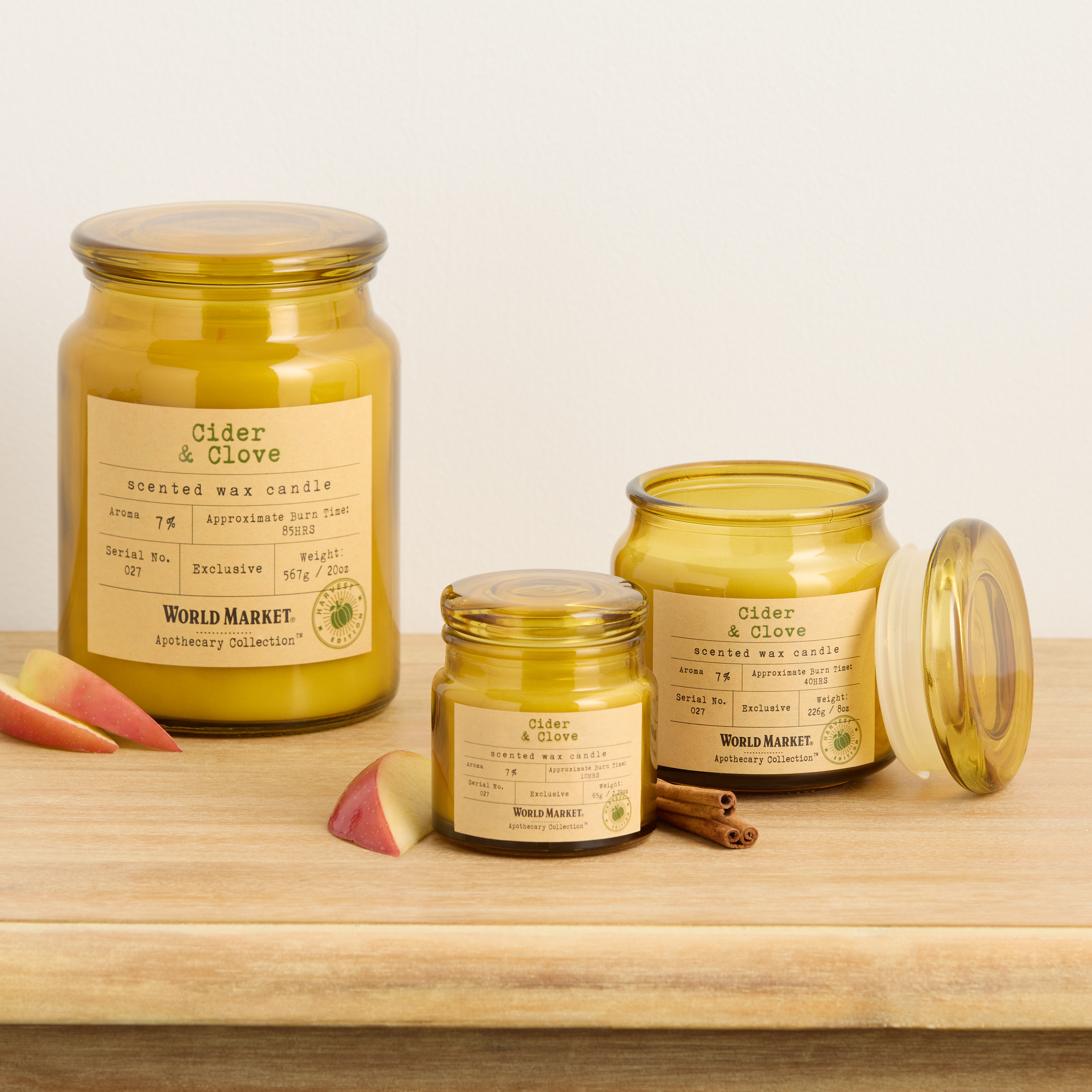 Apothecary Cider & Clove Scented Candle | World Market