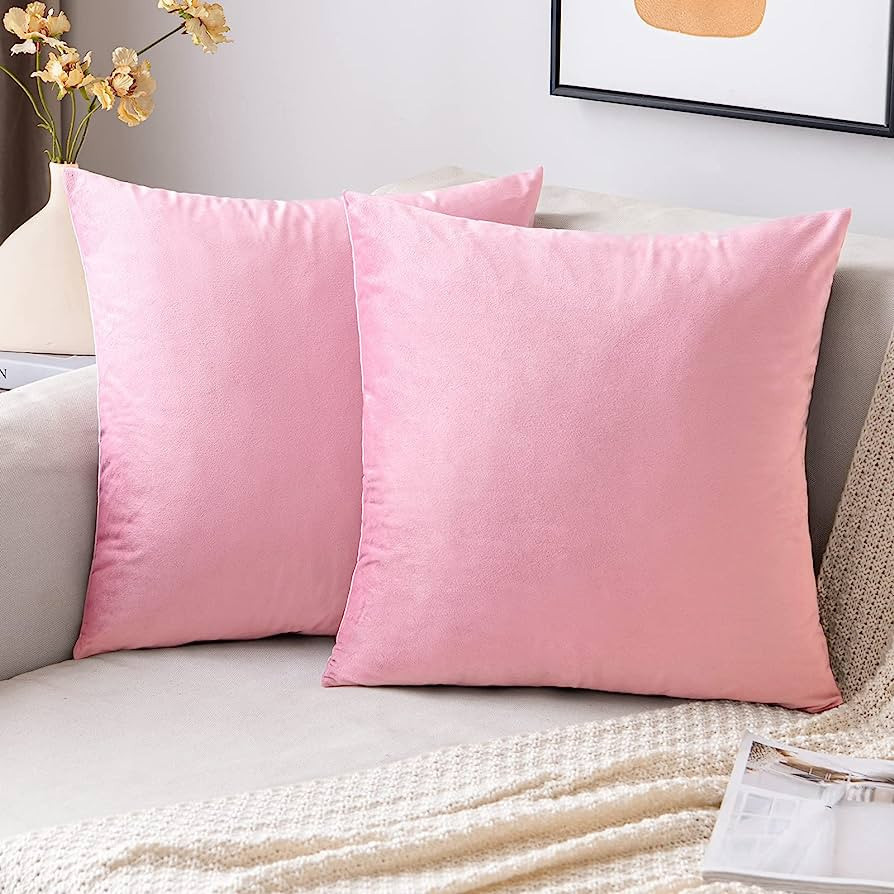 EMEMA Pack of 2 Velvet Throw Pillow Covers Decorative Square Pillowcase Soft Solid Cushion Case f... | Amazon (US)