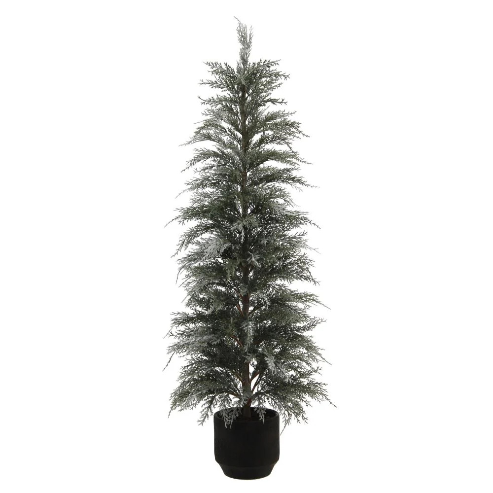 4' Cedar Tree | CG Hunter