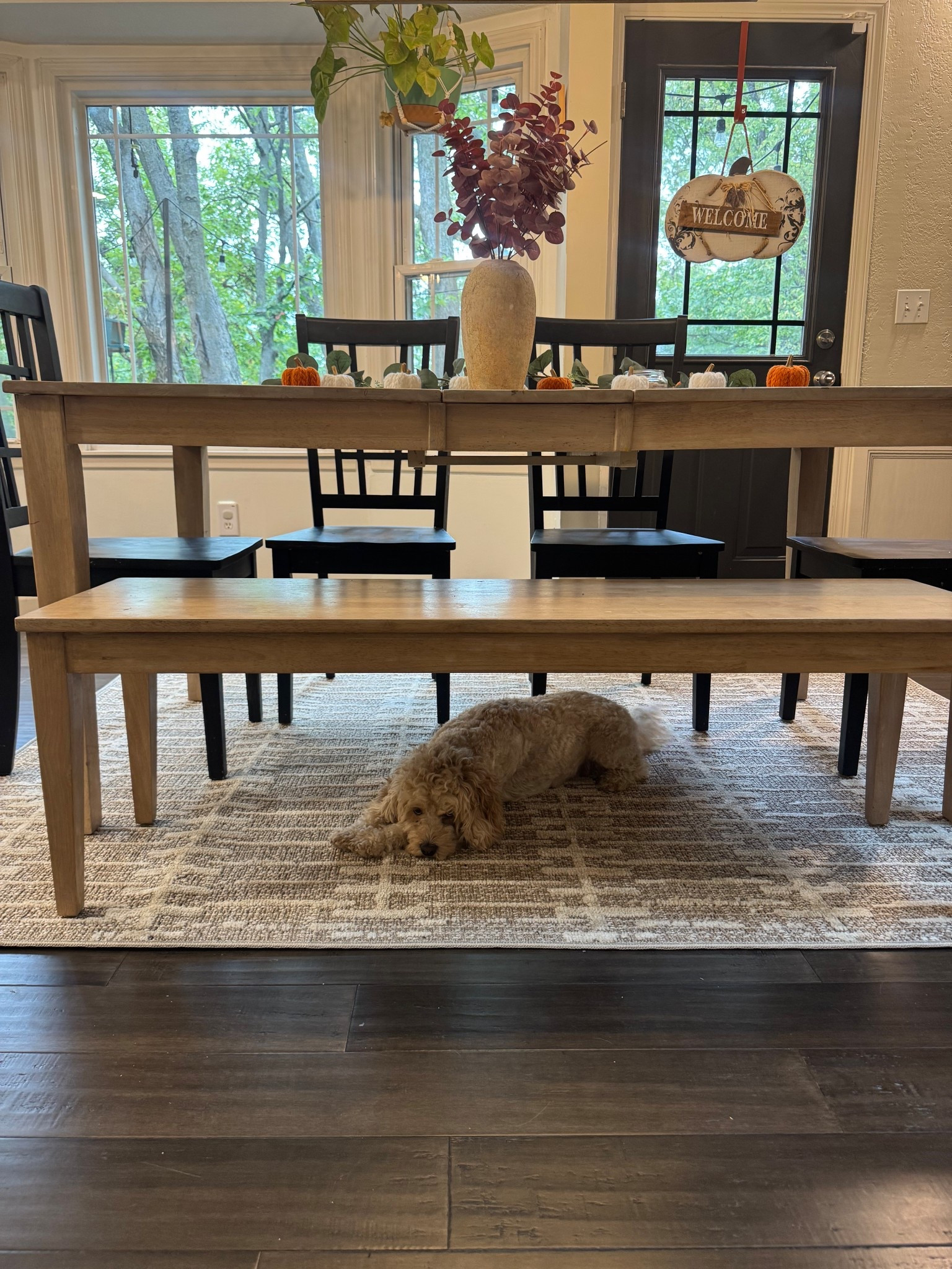 Bexley rug designed by Amber Lewis 