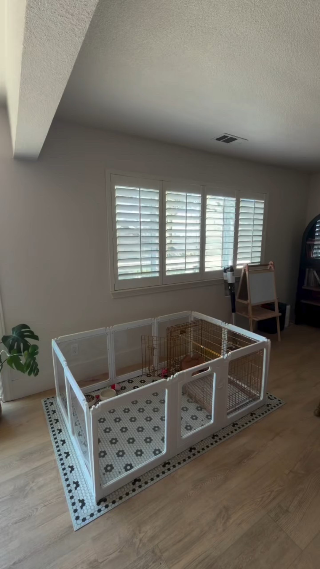 LOOOOOOVING our new puppy pen set up! I love that is has some acrylic panels for the ✨aesthetics✨ LOL and it’s very sturdy with good quality. Definitely adding it to our staples! 

Tuna is only two but I love how hands on she always want to be with me 🥹 She will be nowhere to be found but the second she sees mama doing something she’s shows up to offer help. ESPECIALLY if it has to do with fur babies. It’s funny because I never expect my kids to take over our program. I understand they will each have dreams of their own. Knox already tells us he can’t wait to go to work with dad at JCI lol Kamila is going to take her time finding a job 😆 she does love cooking and has said she just wants to stay home with her babies LOL but idk something about Tuna (and I know yall have seen it too 🥹) that makes me think maybe it’ll be Tuna running this page one day! 🐾🥰

Comment PLAYPEN and I’ll send you the link for it! 🔗