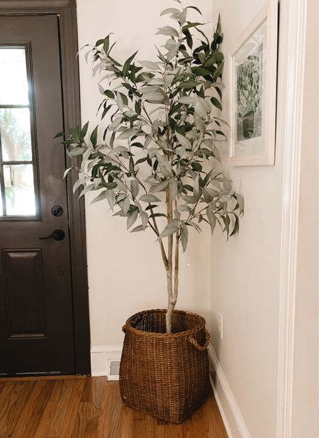 Stunning 6’ eucalyptus tree was a perfect fit in our foyer 🌳

#LTKhome