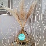 3 Stems Real Dried Small Pampas Grass | Pampas Grass Tabletop as Centerpiece Boho Home Decor | Amazon (US)