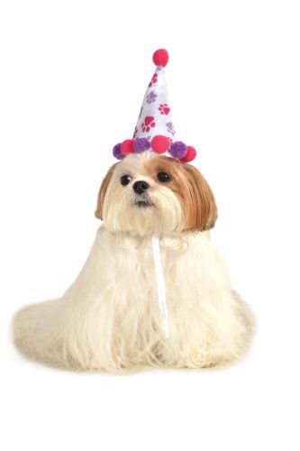 Rubie's Pet Birthday Hat, Small to Medium, Purple and Red Paw Print | Amazon (US)