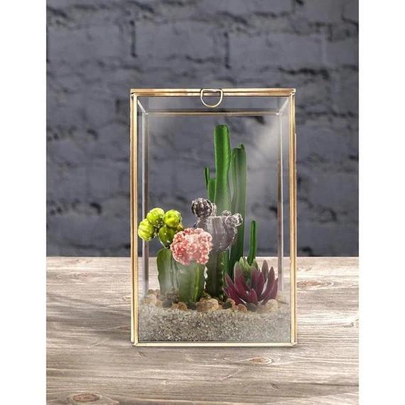 Clear Glass Plant Terrarium with Brass Metal Frame | Etsy (US)