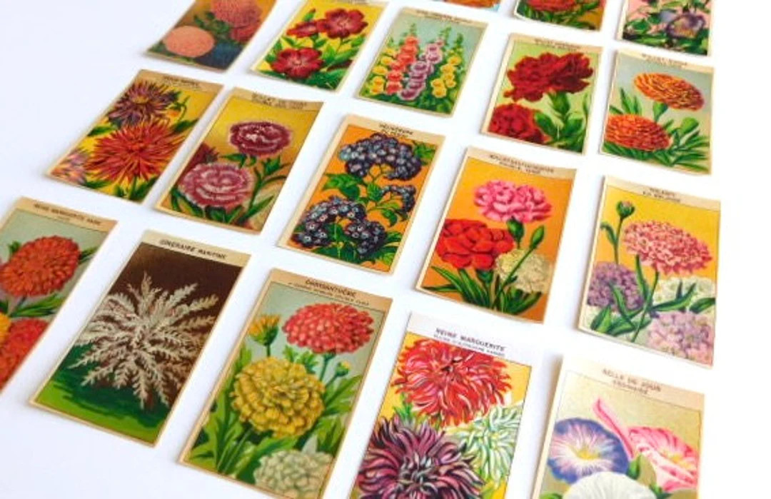 20 Vintage French Flower Seed Packet Labels 1920-30s Not Reprints - Etsy | Etsy (US)