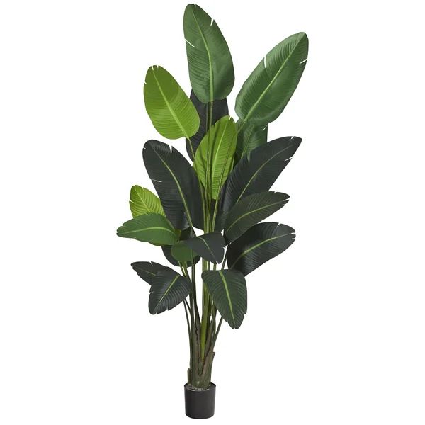 Faux Banana Leaf Tree in Pot Liner | Wayfair North America