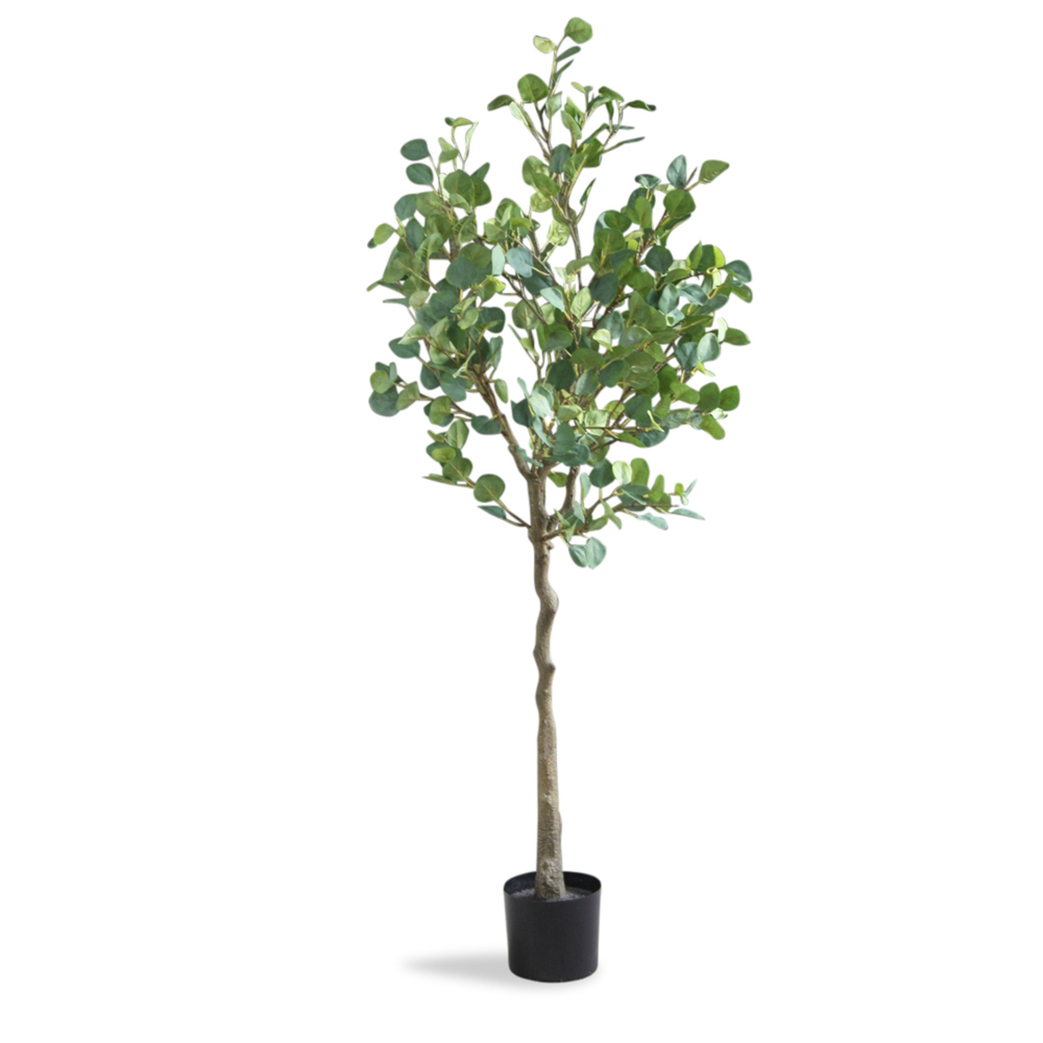 160cm Artificial Eucalyptus Spray Tree | La Redoute (UK)