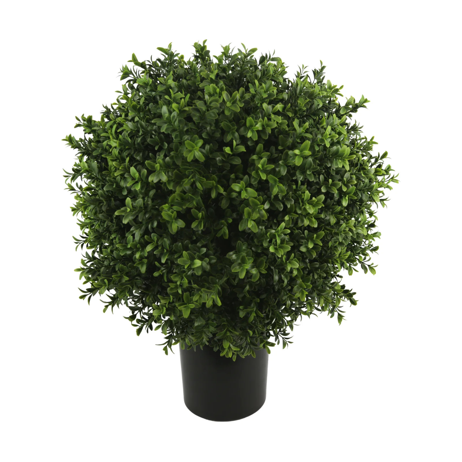 UV Rated Indoor/Outdoor Faux Boxwood Topiary | Birch Lane