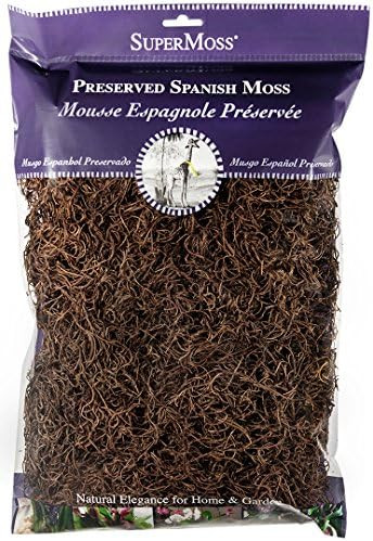 SuperMoss (26972) Spanish Moss Preserved, Coffee, 8oz (200 cubic inch) | Amazon (US)