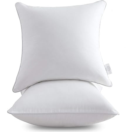 Edow Throw Pillow Insert, Set of 2 Down Alternative Polyester Square Form Decorative Pillow, Cush... | Amazon (US)