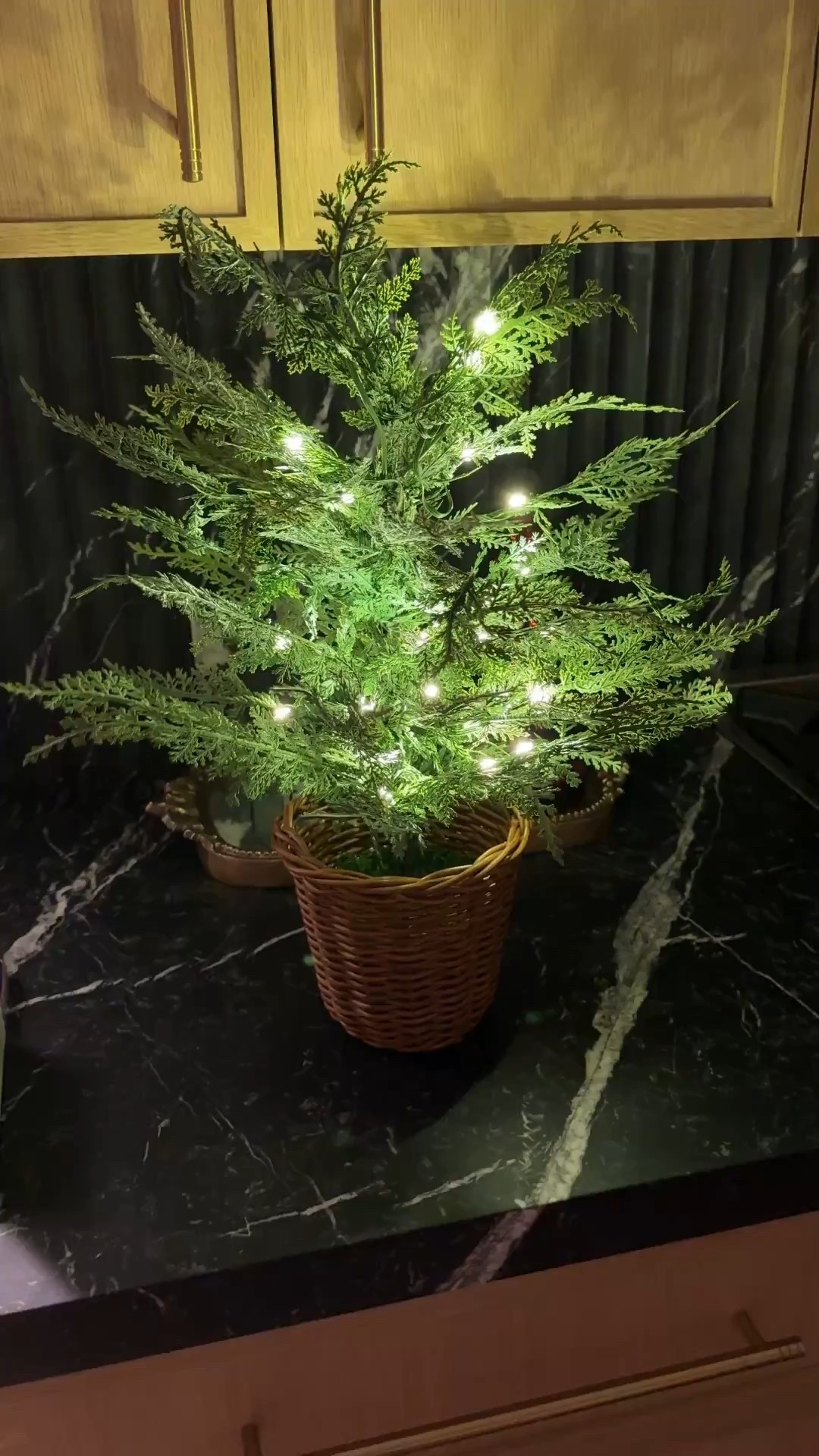 Hurry! Sellout risk, temporarily back in stock! I love that it plugs into the wall so you don’t have to worry about the dang batteries! 😂


#LTKHome #LTKHoliday #LTKSeasonal